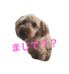 ぷっぷのつぶやき（個別スタンプ：8）