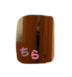 ひなた(ヨーキー) 時々 もも(白柴)（個別スタンプ：13）