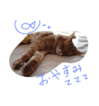 catdoog（個別スタンプ：6）