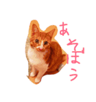 もんのすけ君（個別スタンプ：3）