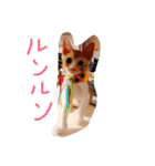 もんのすけ君（個別スタンプ：4）