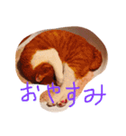 もんのすけ君（個別スタンプ：5）