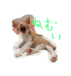 もんのすけ君（個別スタンプ：6）