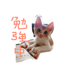 もんのすけ君（個別スタンプ：10）