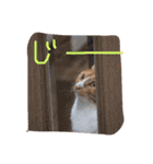もんのすけ君（個別スタンプ：17）