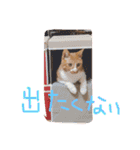 もんのすけ君（個別スタンプ：18）