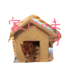 もんのすけ君（個別スタンプ：19）