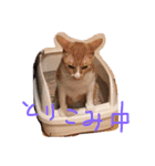 もんのすけ君（個別スタンプ：26）
