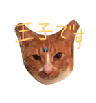 もんのすけ君（個別スタンプ：30）