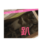 this is my baby（個別スタンプ：2）