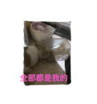 this is my baby（個別スタンプ：4）
