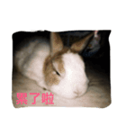 this is my baby（個別スタンプ：6）