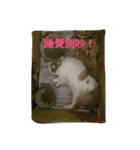 this is my baby（個別スタンプ：7）