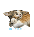 むぎスタ（個別スタンプ：8）