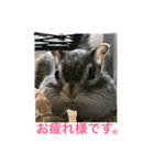 私マロンよぉぉ（個別スタンプ：1）