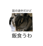 私マロンよぉぉ（個別スタンプ：2）