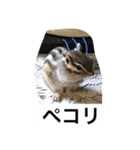 私マロンよぉぉ（個別スタンプ：3）