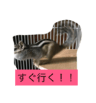 私マロンよぉぉ（個別スタンプ：7）
