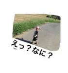 岩田（個別スタンプ：16）
