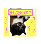 mitacoro（個別スタンプ：6）