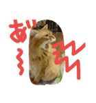 catcatdoog（個別スタンプ：2）