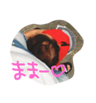りーちゃんの1日（個別スタンプ：18）