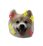 俺はレオ（個別スタンプ：1）