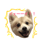 俺はレオ（個別スタンプ：3）