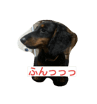 ケンシロウとりーり（個別スタンプ：10）