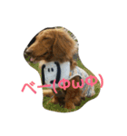 ケンシロウとりーり（個別スタンプ：12）