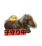 ケンシロウとりーり（個別スタンプ：16）