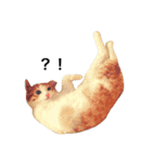 ねこのほっけ（個別スタンプ：2）