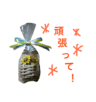 折り紙スタンプ（個別スタンプ：8）