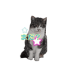 あみ+もも+さく（個別スタンプ：4）