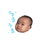 葵くんスタンプ（個別スタンプ：4）