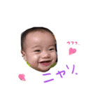 葵くんスタンプ（個別スタンプ：5）