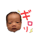 葵くんスタンプ（個別スタンプ：6）