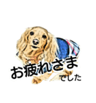 ダックス犬 スケッチ風 でか文字（個別スタンプ：2）