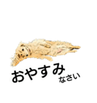 ダックス犬 スケッチ風 でか文字（個別スタンプ：3）