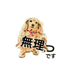 ダックス犬 スケッチ風 でか文字（個別スタンプ：6）