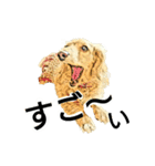 ダックス犬 スケッチ風 でか文字（個別スタンプ：7）