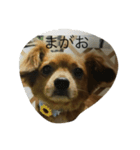ちわっくすぽてとくん（個別スタンプ：2）