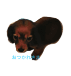 stamp12（個別スタンプ：2）