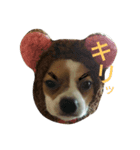 pete's life（個別スタンプ：1）