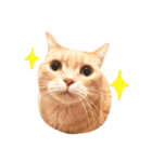 みすけとリちゃん（個別スタンプ：5）