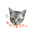 みすけとリちゃん（個別スタンプ：6）