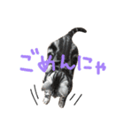 みすけとリちゃん（個別スタンプ：10）