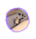 みすけとリちゃん（個別スタンプ：23）