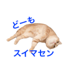 みすけとリちゃん（個別スタンプ：28）