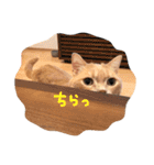 みすけとリちゃん（個別スタンプ：37）